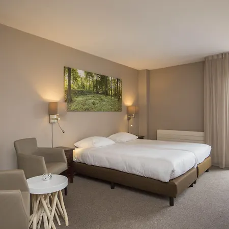 弗莱彻酒店 酒店 4*